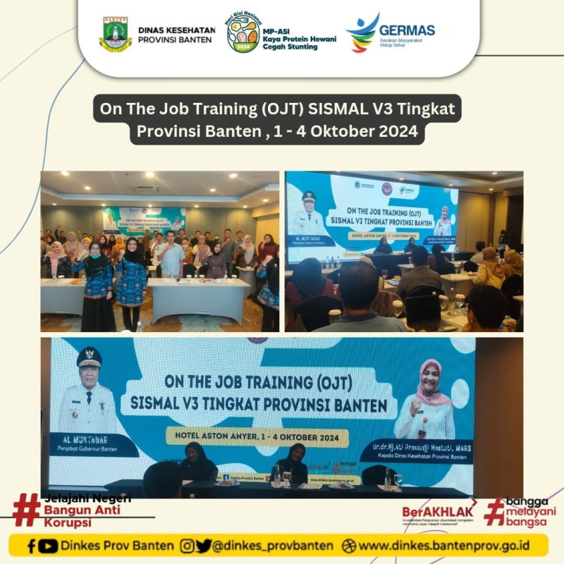 On The Job Training SISMAL V3