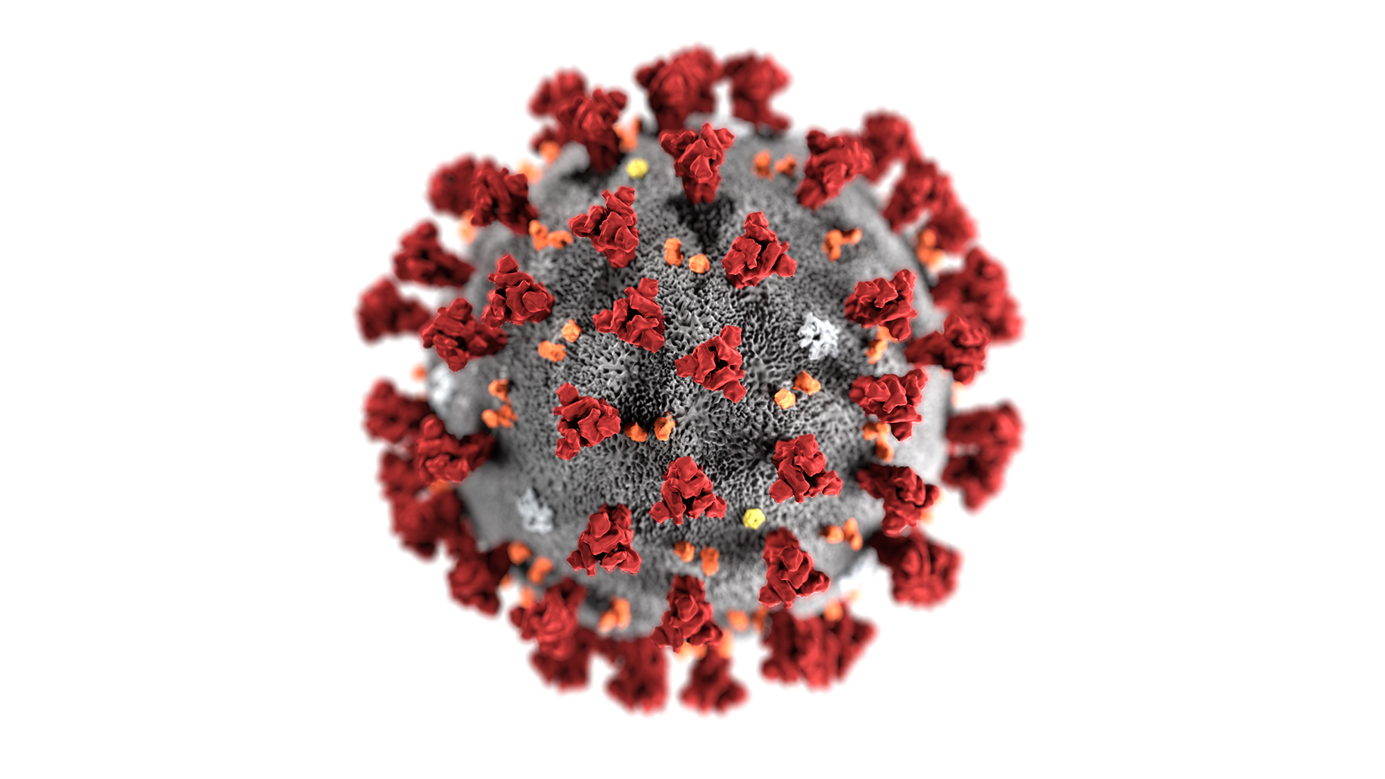 Virus Corona COVID-19